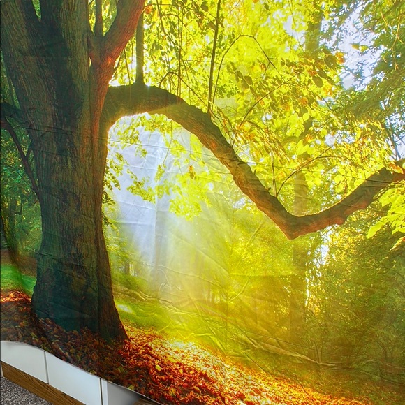 Sunlit Forest Wall Tapestry - Picture 5 of 7